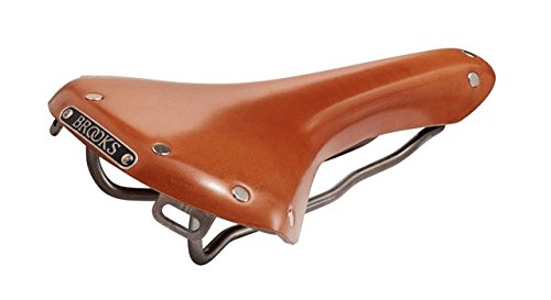 Amazon | BROOKS ブルックス B15 SWALLOW TITANIUM SADDLE スワロー