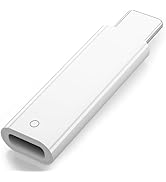 Amazon.co.jp: USB-C - Apple Pencilアダプタ iPad第10世代対応Apple