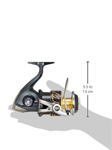 Amazon.co.jp: SHIMANO 13 STELLA SW 8000PG : Sports & Outdoors