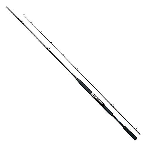 ロッド 釣竿 船竿 30-240」の人気商品一覧 | 安い商品を通販サイトから