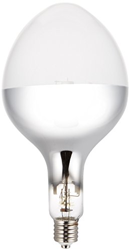 岩崎電気 アイ セルフバラスト水銀ランプ 拡散形 BHRF200V750WH (電球