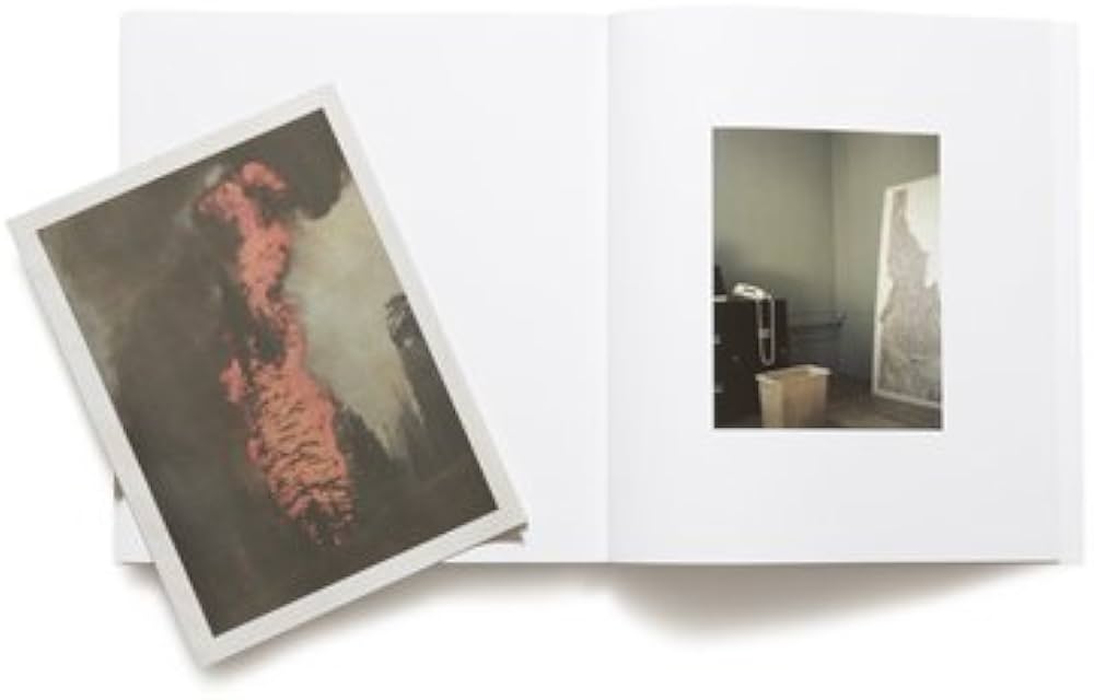 アート・デザイン・音楽 LICK CREEK LINE by Ron Jude アート