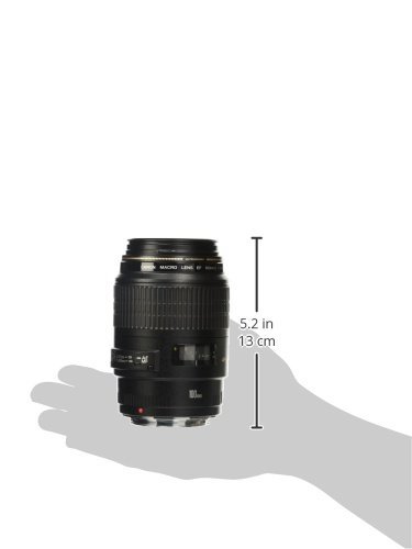 Amazon.com : Canon 100mm F2.8 Macro USM AF Lens : Camera Lenses