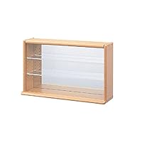 Amazon.co.jp: ナカバヤシ NEWコレクションケース/ミニワイド 透明