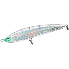 Amazon.co.jp: オフショアプラグ - ルアー: スポーツ＆アウトドア