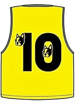 Amazon | soccer junky（サッカージャンキー） ちりょく＋1 色違い