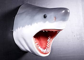 31niY3HAPVL._AC_UF350,