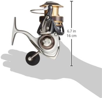 Daiwa VADEL 4000H : Amazon.de: Sports & Outdoors