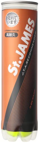 ダンロップ セント・ジェームス 4ヶ入 15缶 (テニスボール) 価格比較