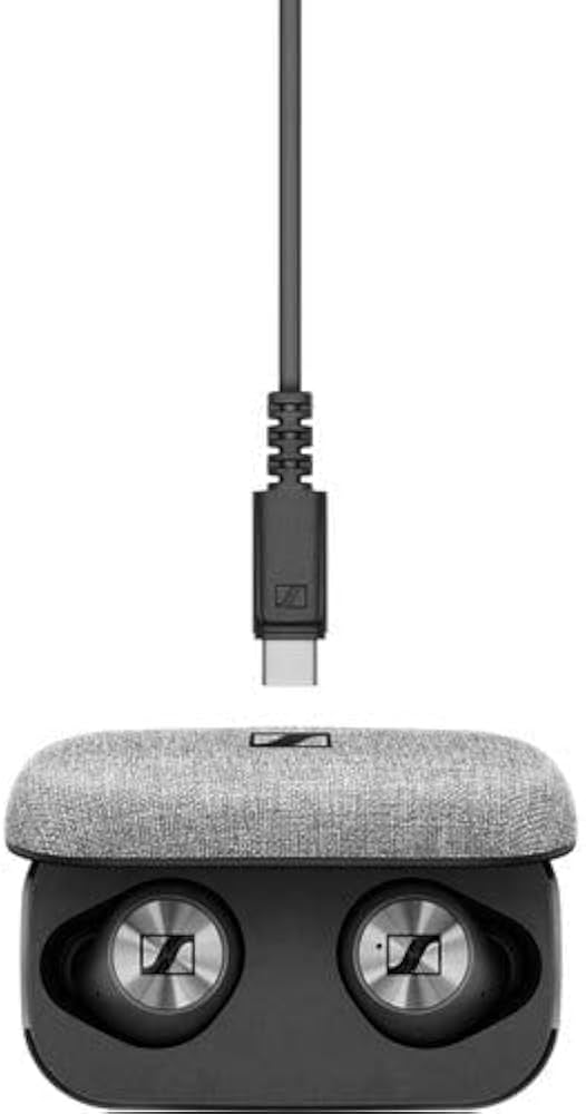 Amazon.com: Sennheiser Momentum True Wireless in-Ear Headphones