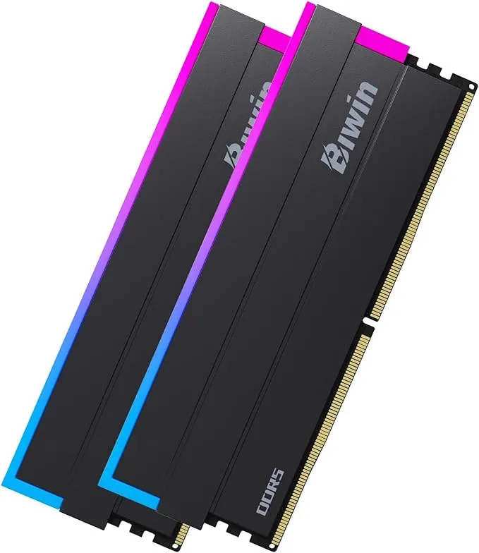 Biwin - DW100 DDR5 6000MT/s (PC5-48000) 64GB（32GB×2枚