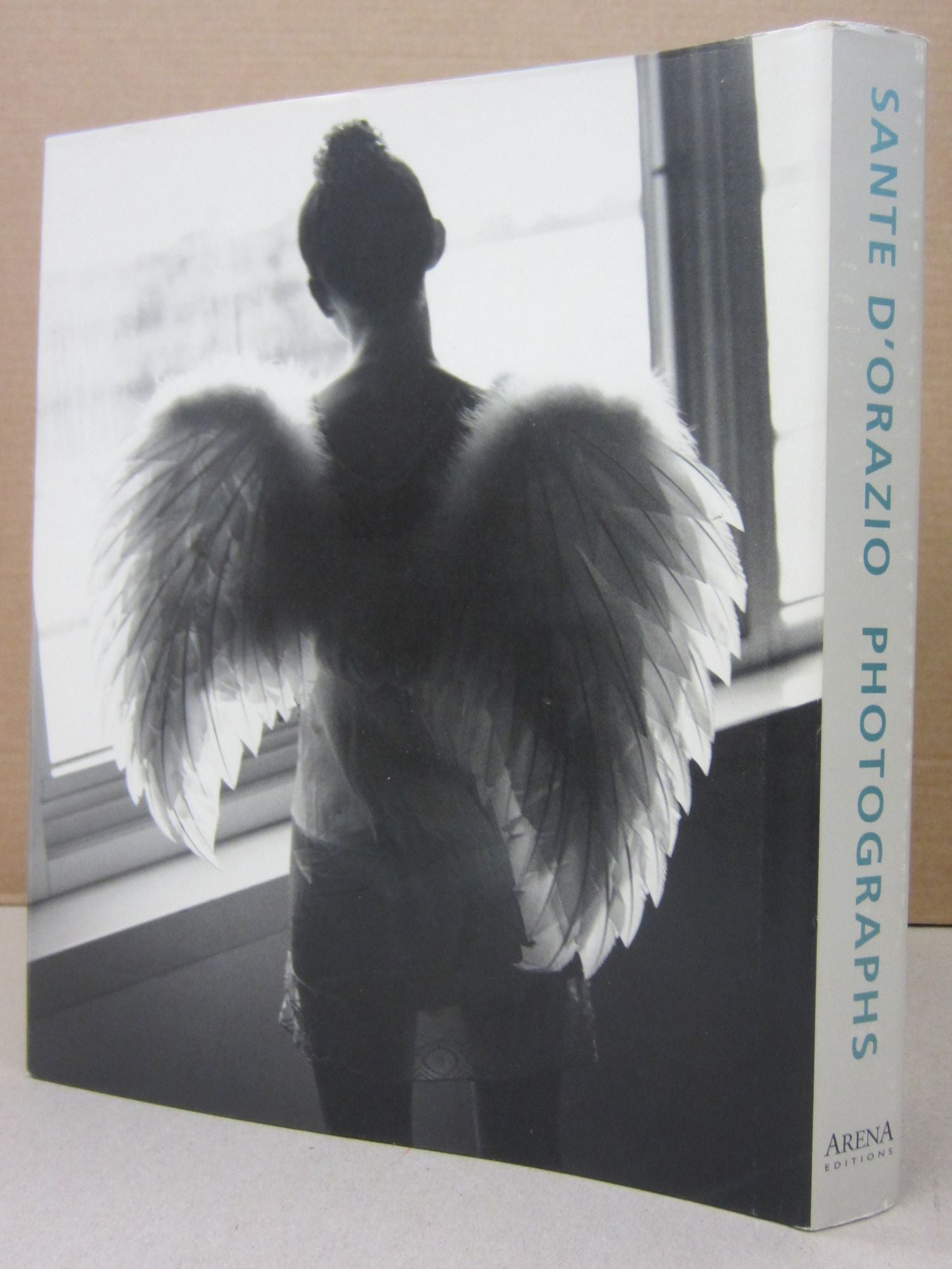 Sante D'Orazio : Photographs by John Yau | John Yau | First edition