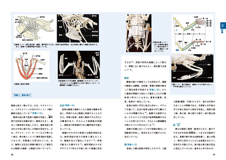 書籍『カラーアトラス エキゾチックアニマル 鳥類編 第2版 －種類