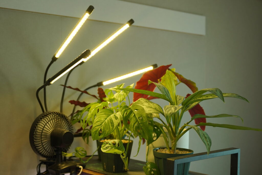 長期使用レビュー】HaruDesign HASU38 spec9 6K｜メリット・デメリット