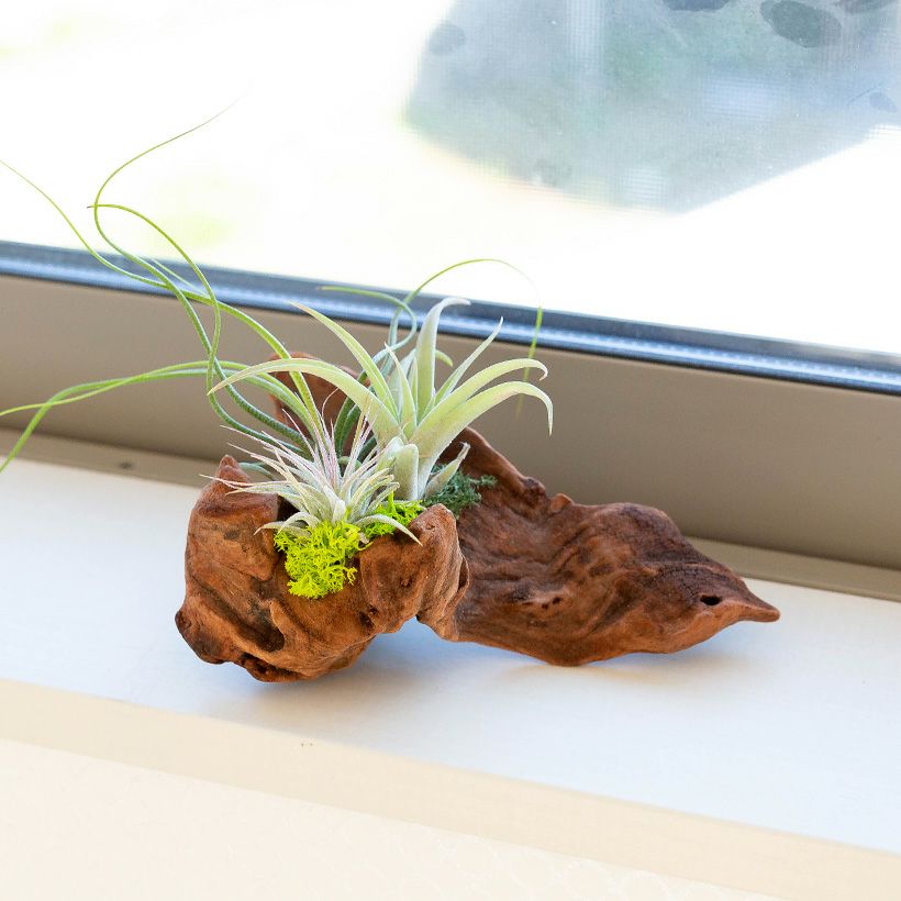 000000005822-09.jpg?size=l&w=