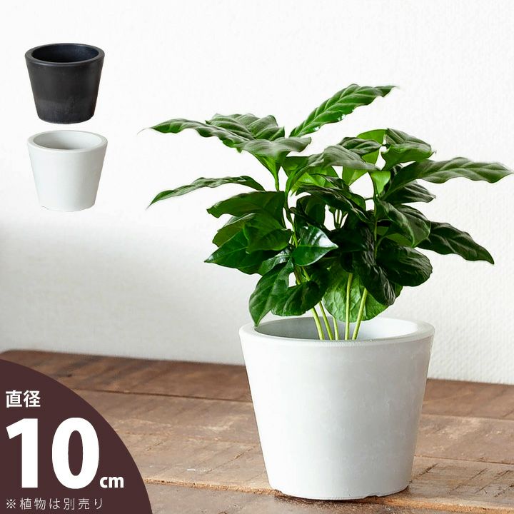 ブラックPOT｜塊根植物やアガベに似合うプラスチック植木鉢