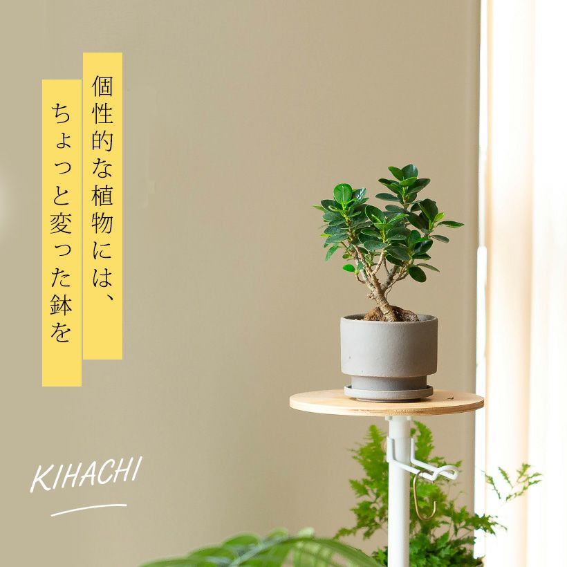 欲しい植木鉢が見つかる！室内外おしゃれプランター専門店