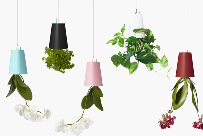 スカイプランター｜[公式] e-花屋さん 本店