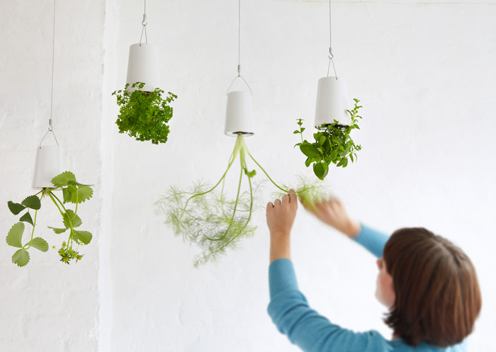 スカイプランター｜[公式] e-花屋さん 本店