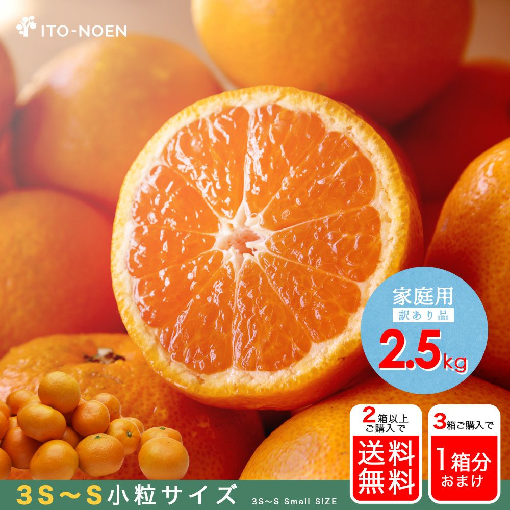 000000000200-01-xl.jpg?t=