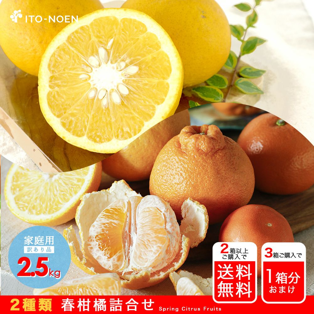 北國富山新聞・朝刊】春柑橘お楽しみ箱(八朔・不知火)【家庭用(訳あり