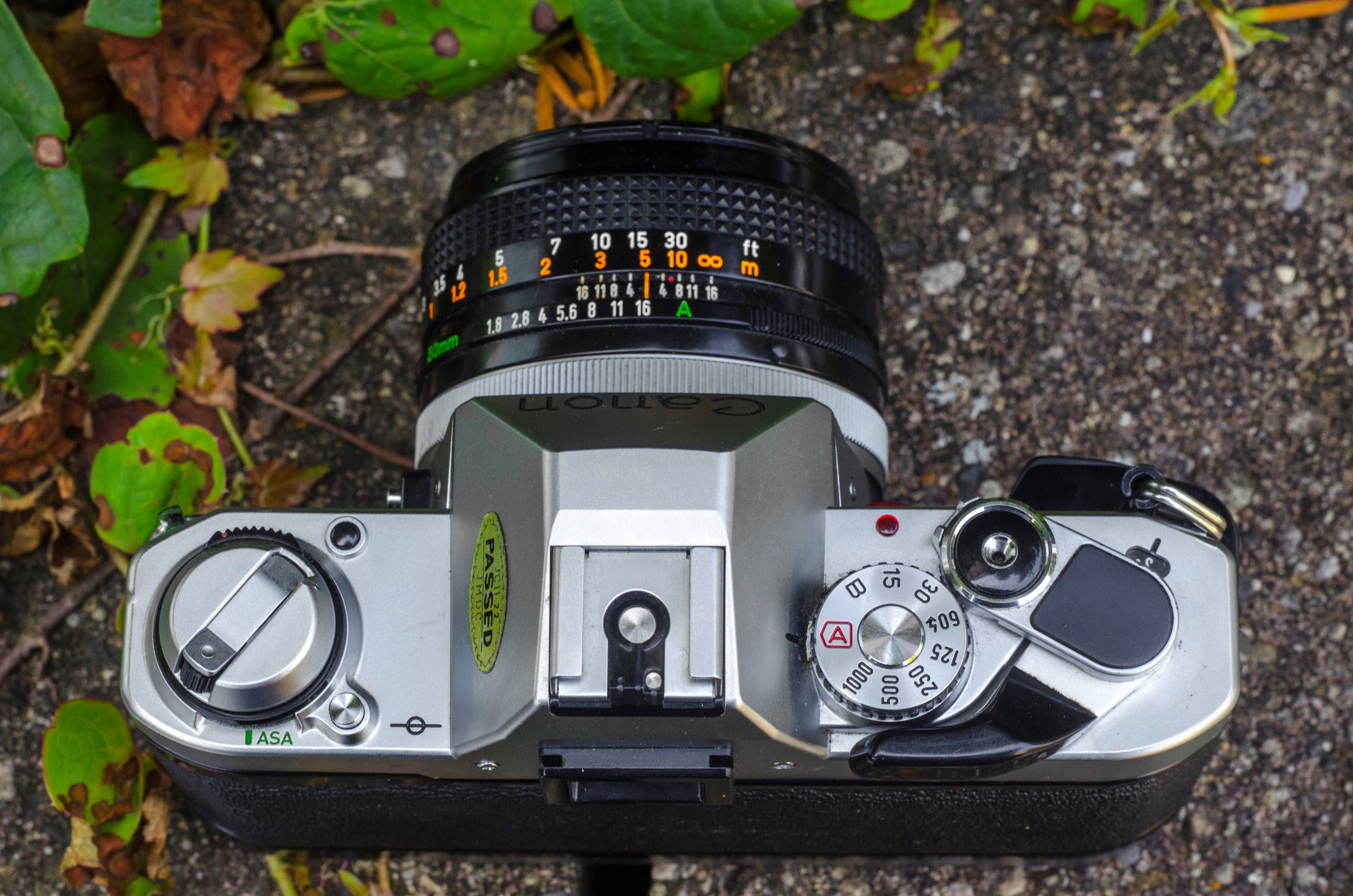 Canon AL-1 (1982) - mike eckman dot com