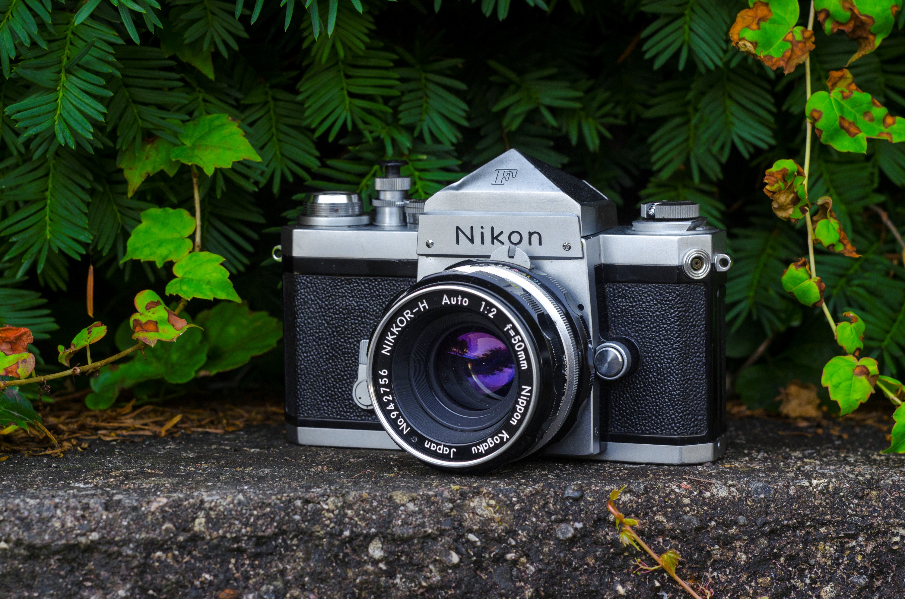 Nikon F (1966) – mike eckman dot com
