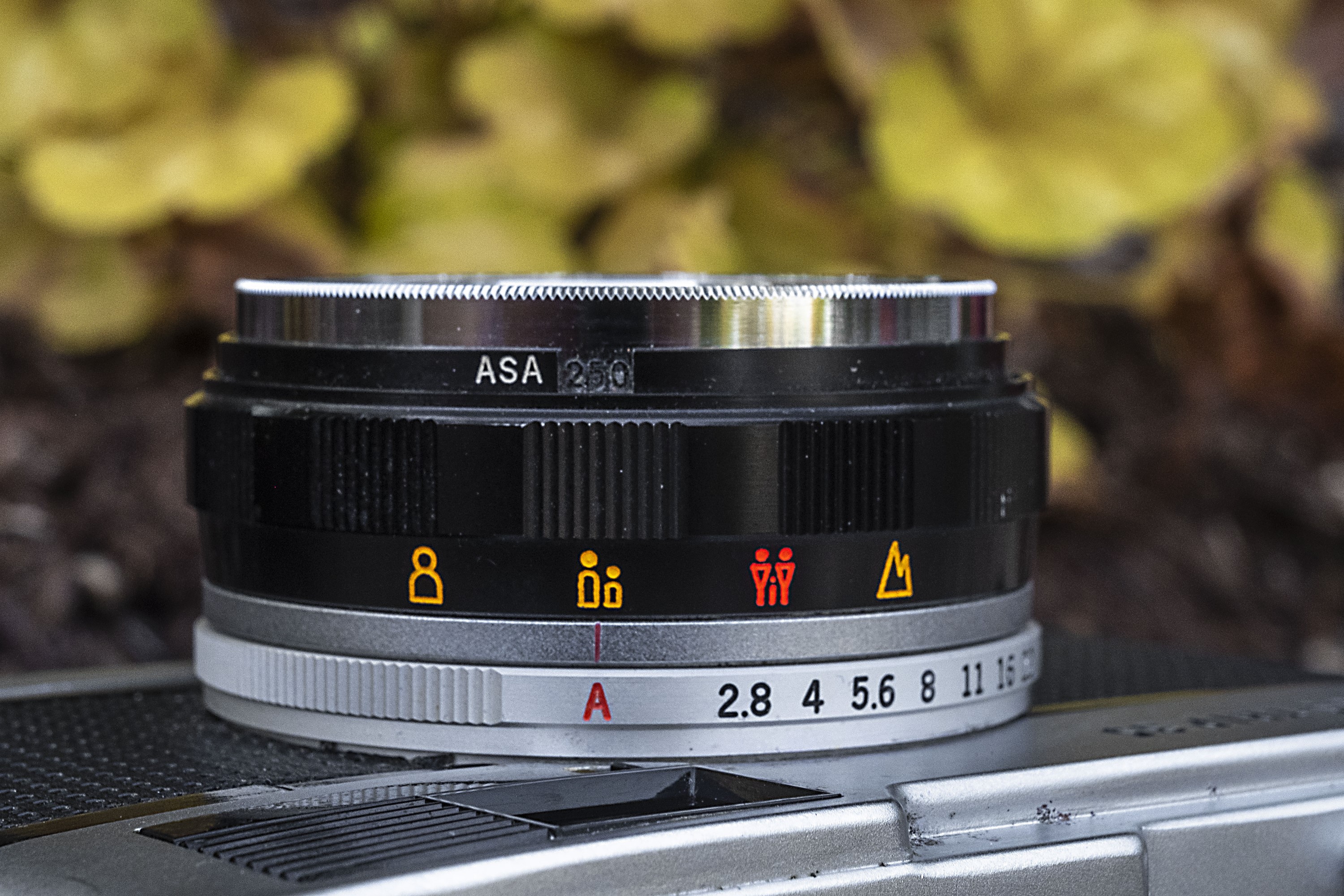 Olympus Trip 35 (1967) - mike eckman dot com