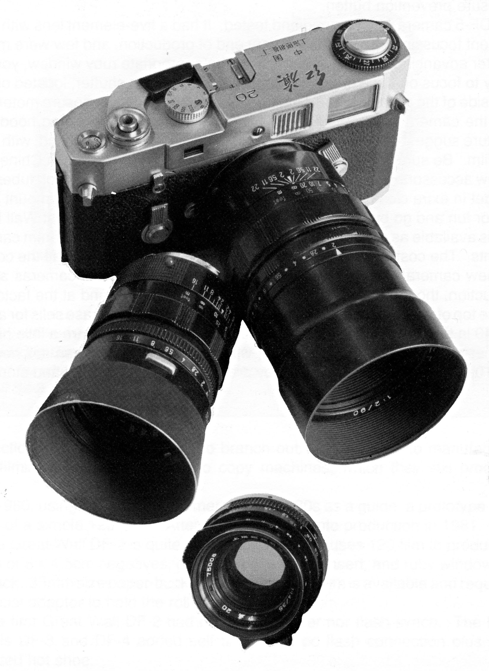 Seagull 203 (1964) – mike eckman dot com