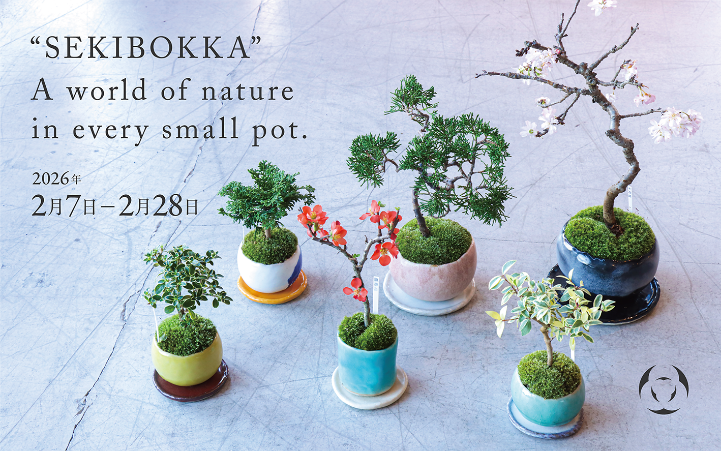 伊勢崎店】小さな器に、春を待つ｜石木花 - 丁寧な暮らしの店・日本