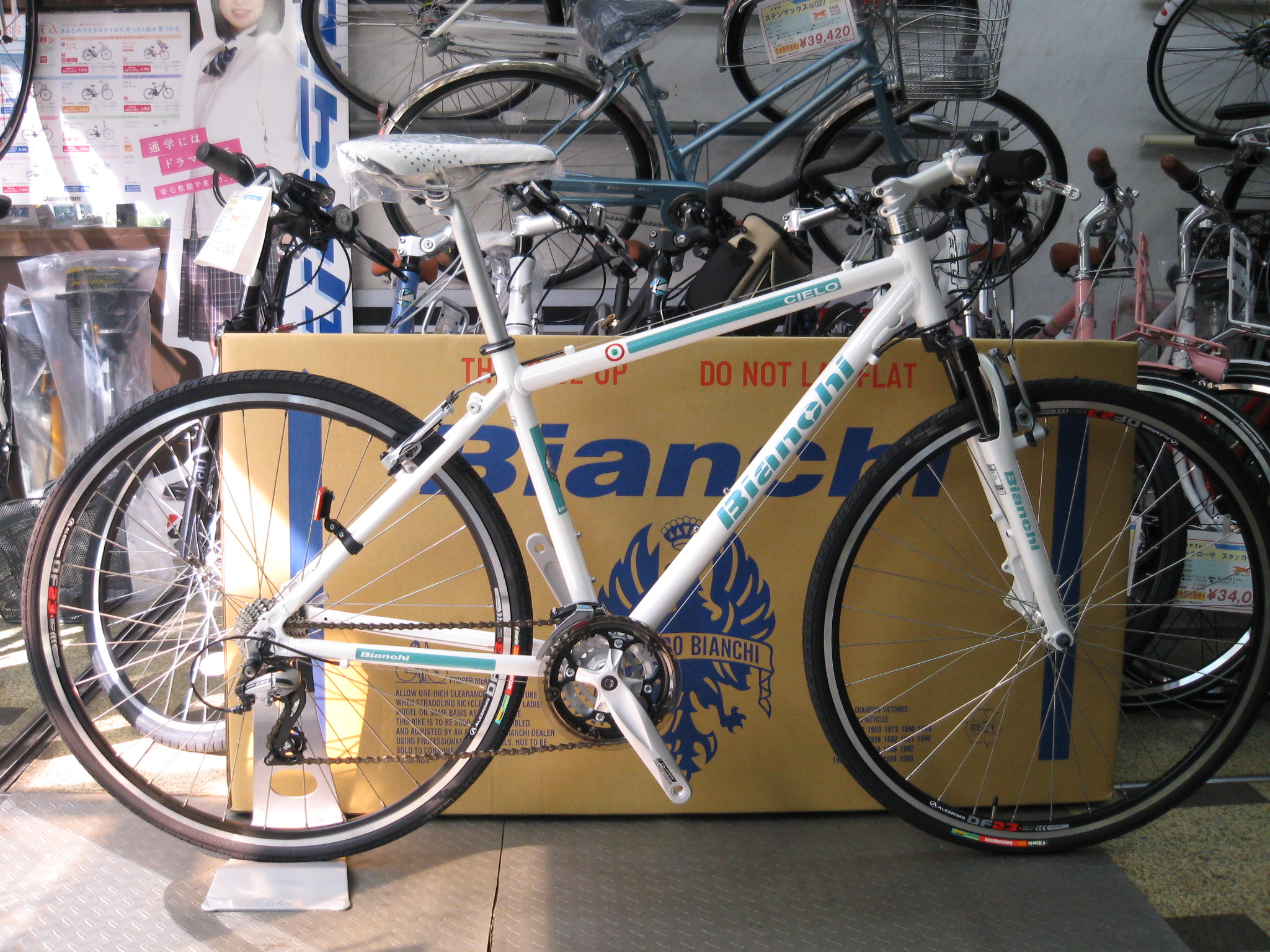 Bianchi CIELO（ビアンキ シエロ）の'09モデルが入荷しました