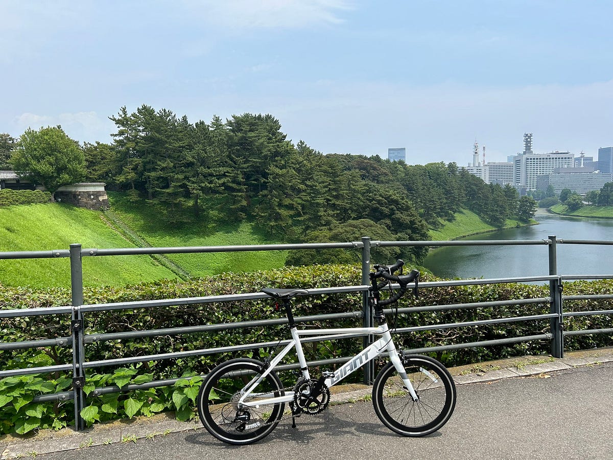 GIANT IDIOM 1 2024 購入レポート - Takuya Ichise - Medium