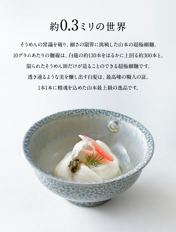 白髪 (SG-E) | 三輪山本 手延べそうめん公式オンラインショップ