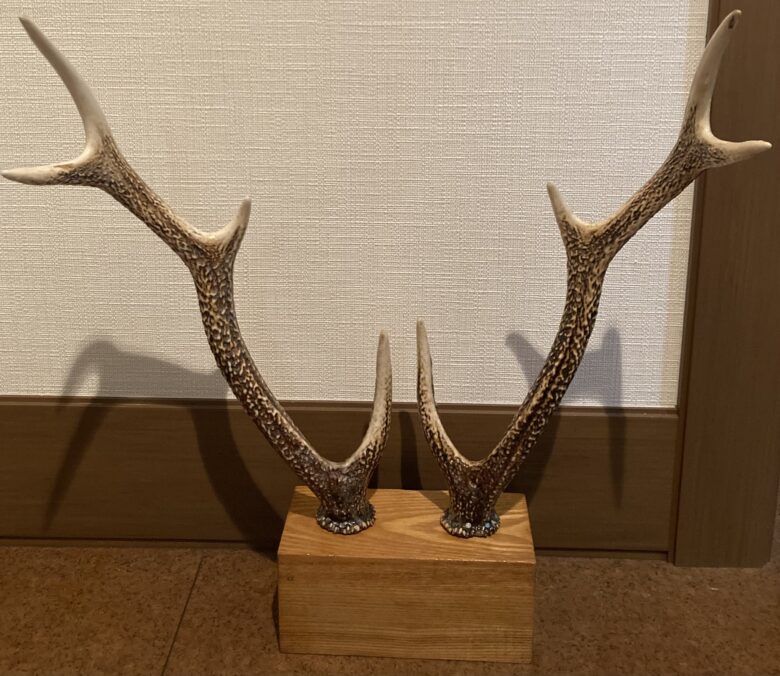 蝦夷鹿の角 置物 4本セット 蝦夷鹿の角 置物 4本セット 蝦夷鹿の角