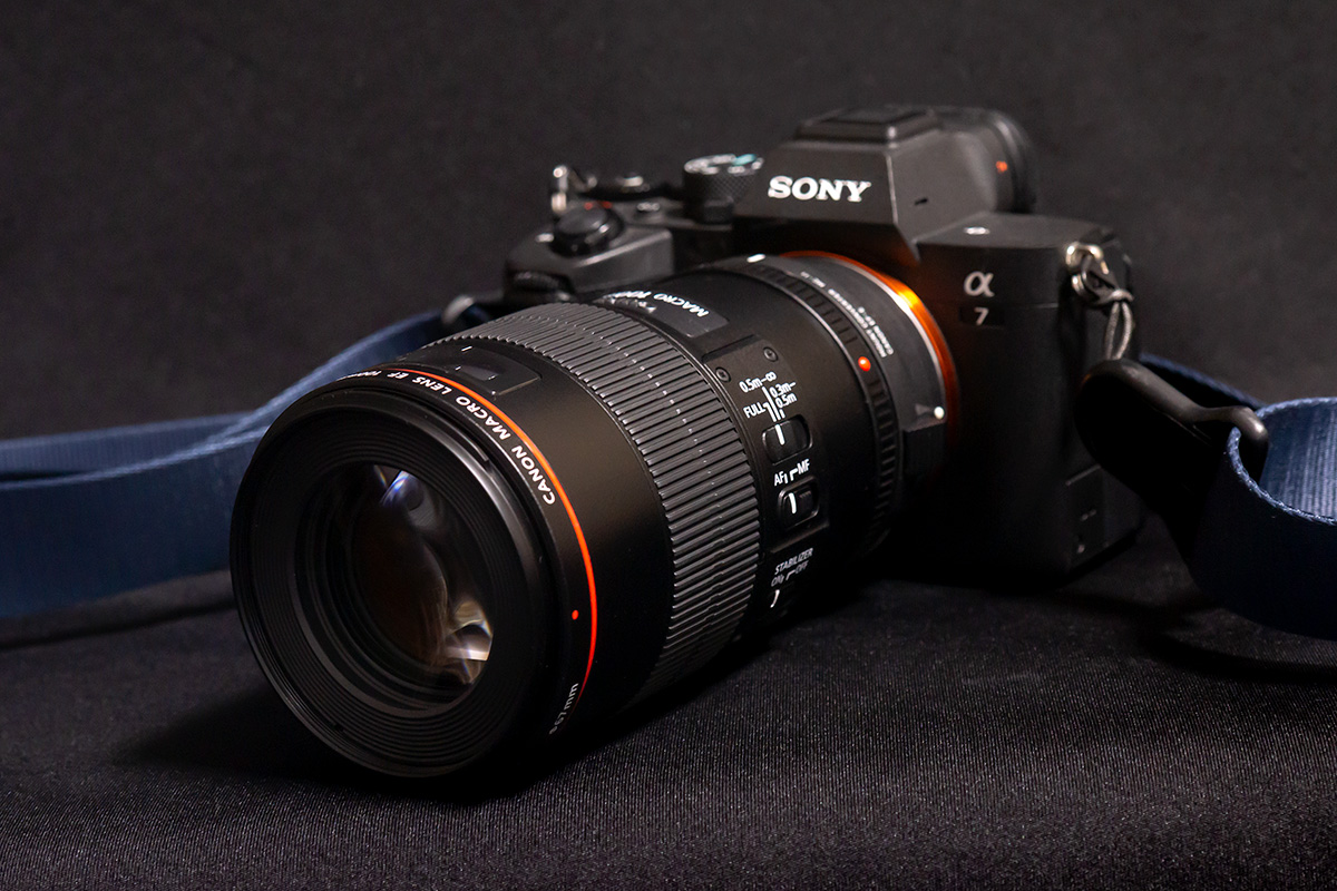 Canon EF100mm F2.8L MACRO IS USM | b's mono-log