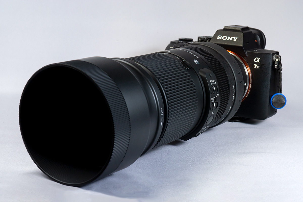 SIGMA 100-400mm F5-6.3 DG DN OS 購入 | b's mono-log