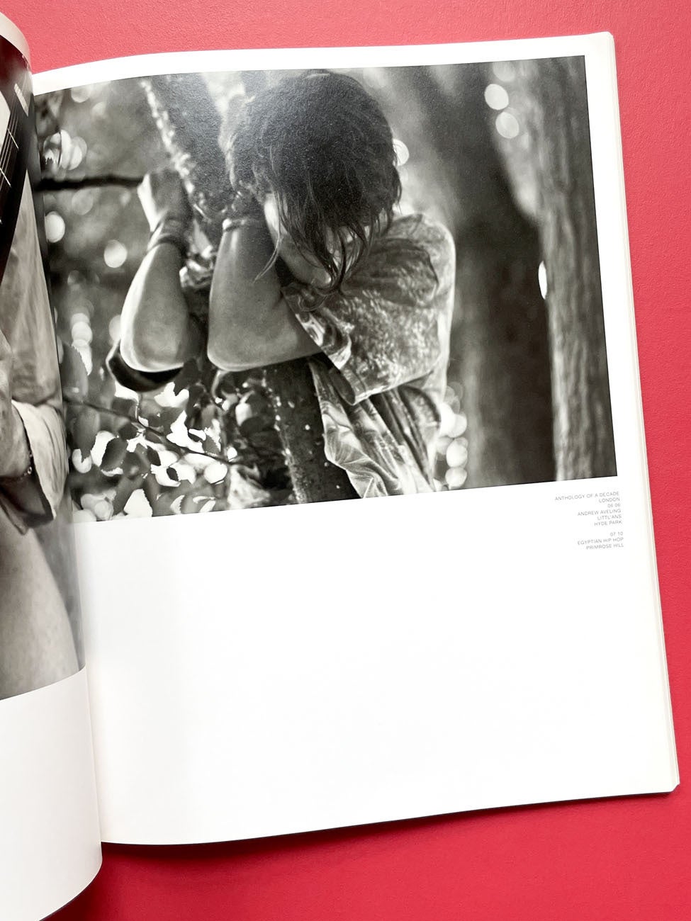 Monograph Bookwerks | Hedi Slimane: Anthology of a Decade, UK