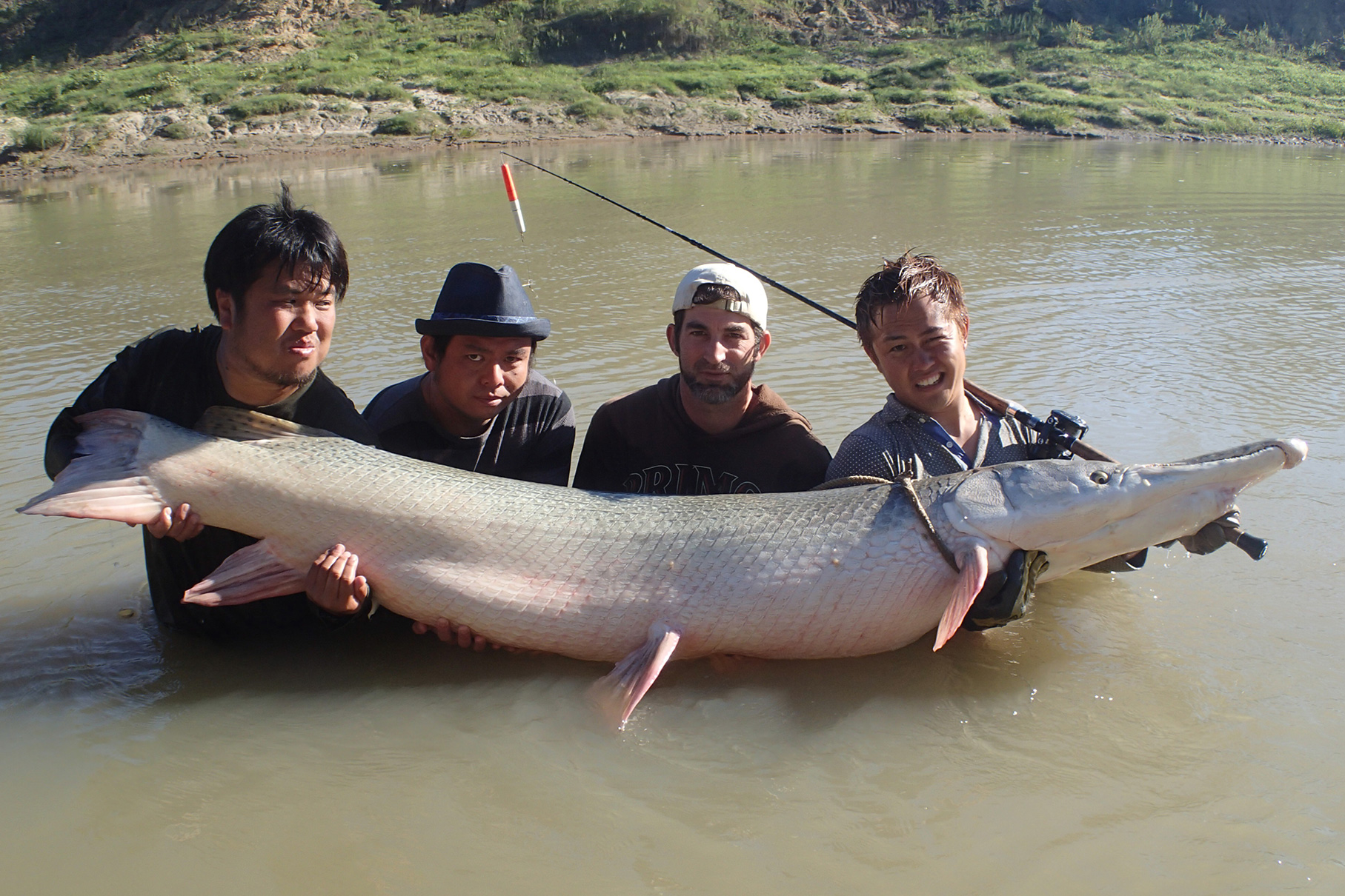 Dear Monster MX-∞ - Monster Kiss モンスターキス