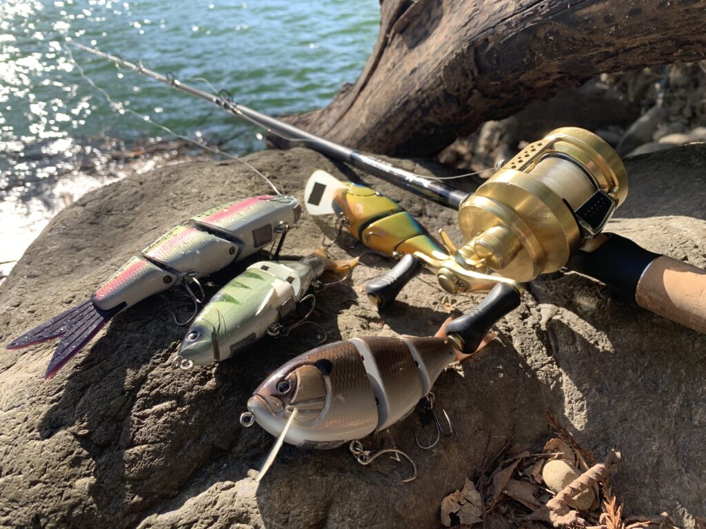 記録よりも感動を」ハンドメイドビッグベイトで世界を駆ける、武村直尚