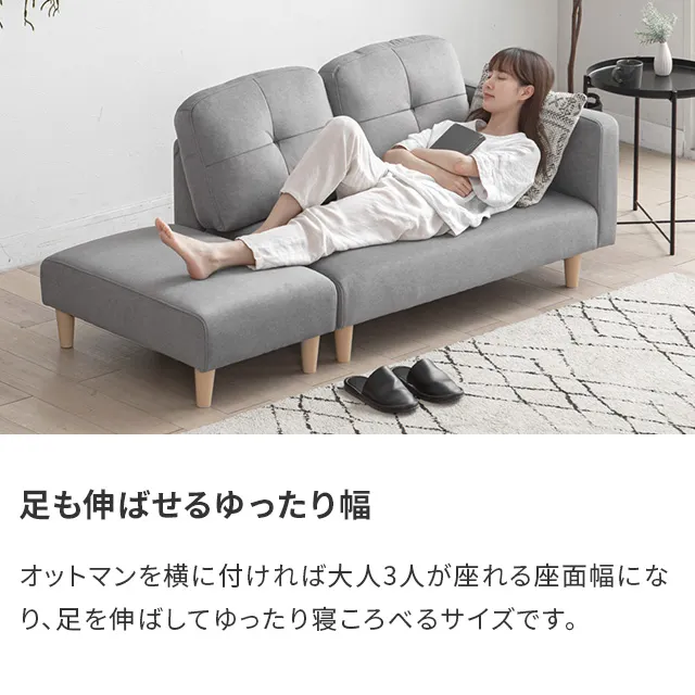 本体幅166cm・傷に強いペット対応生地] ソファ 2人掛け ソファーベッド