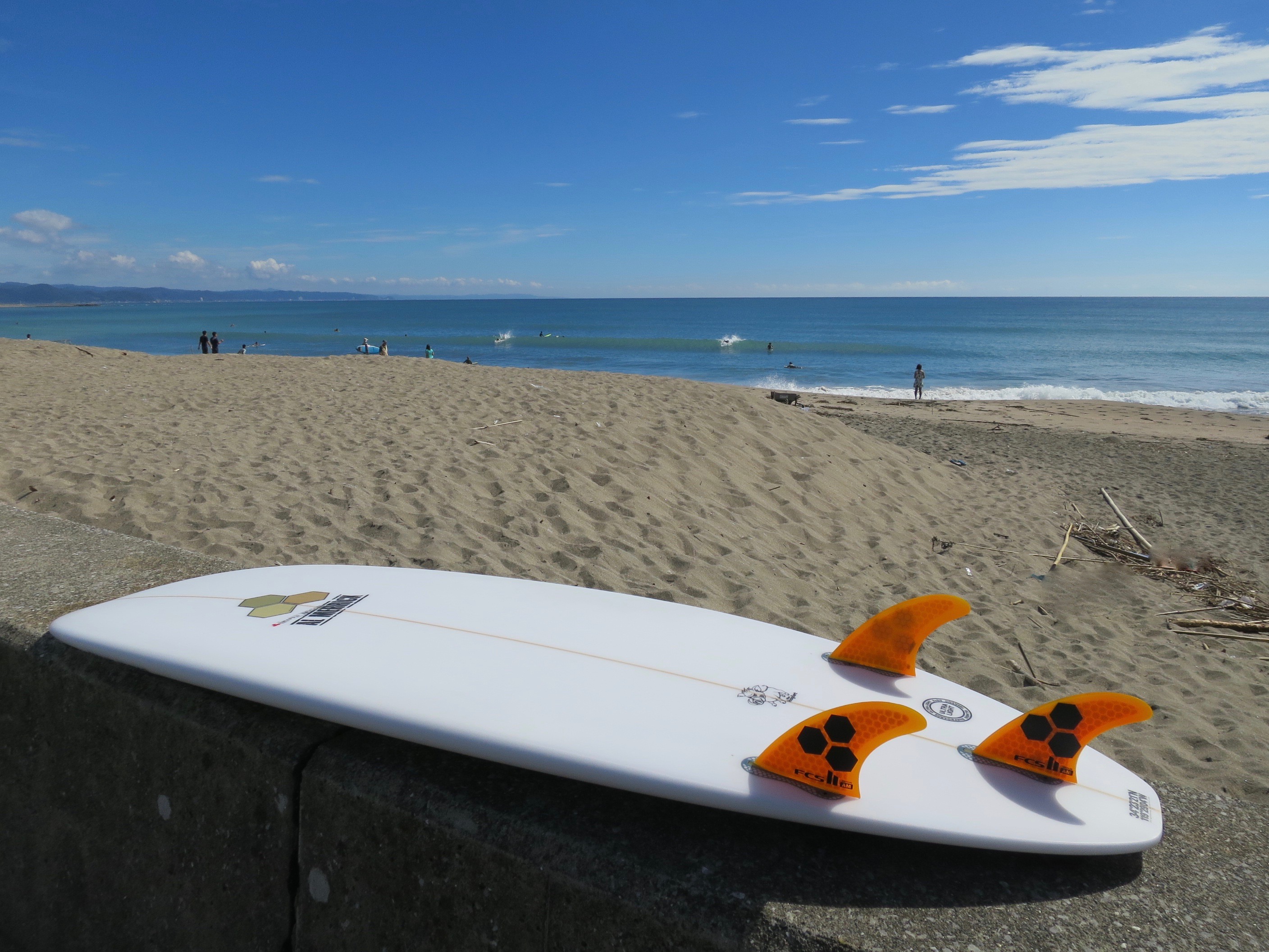 アルメリック-ホグレット | MOANA COASTAL SERVICE