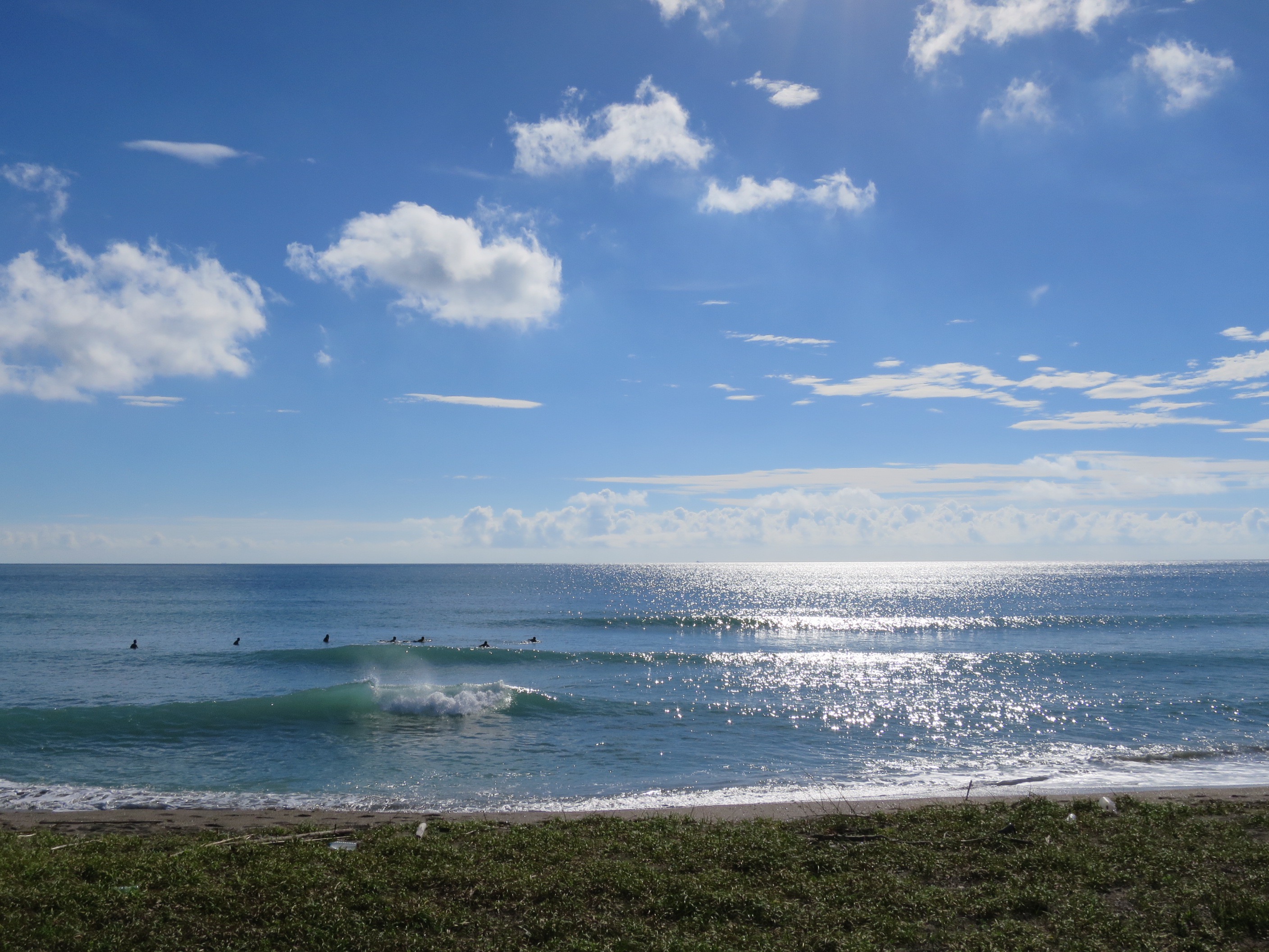 アルメリック-ホグレット | MOANA COASTAL SERVICE