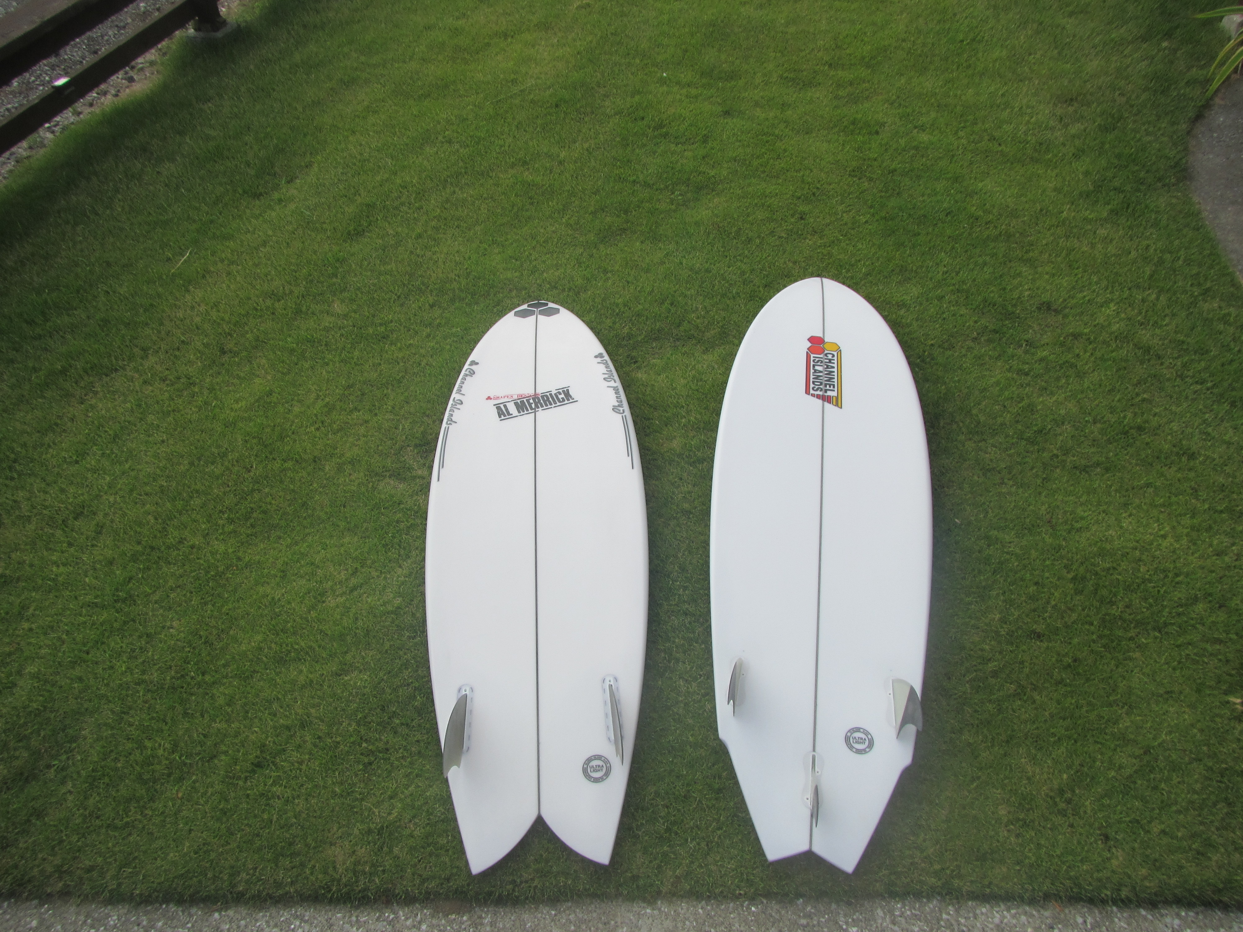 フィッシュビアードとCiツインフィン | MOANA COASTAL SERVICE