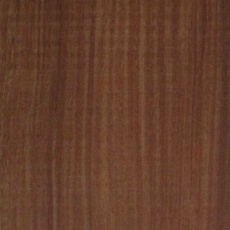 パオローズ | 取扱樹種250種 | 高田製材所