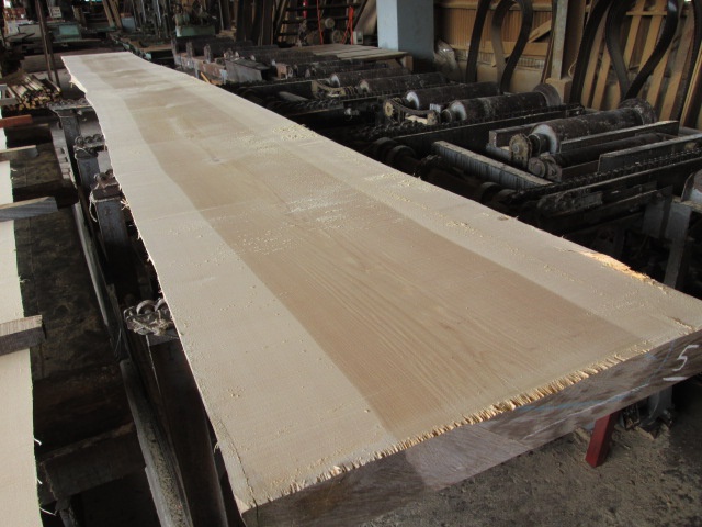 銀杏（イチョウ） 店舗用カウンター | 一枚板 お取り引き実績 | 一枚板