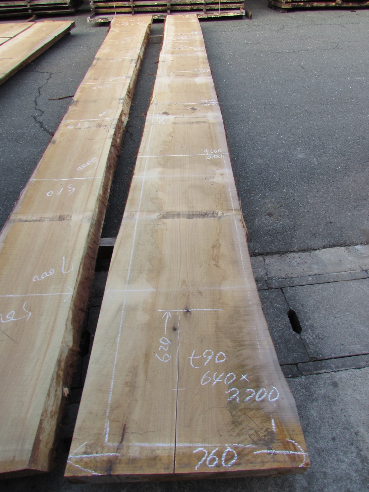 4.3m～7.7m 無垢一枚板 長尺カウンターテーブル材 | 一枚板商品情報