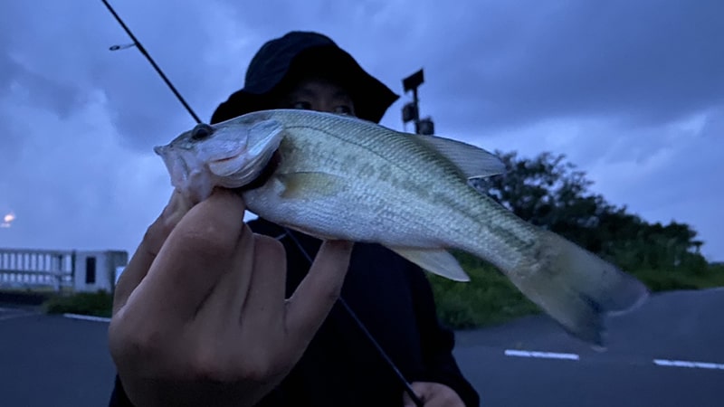 ブラックバス釣りはじめました｜霞ヶ浦水系初心者ブラックバス釣り