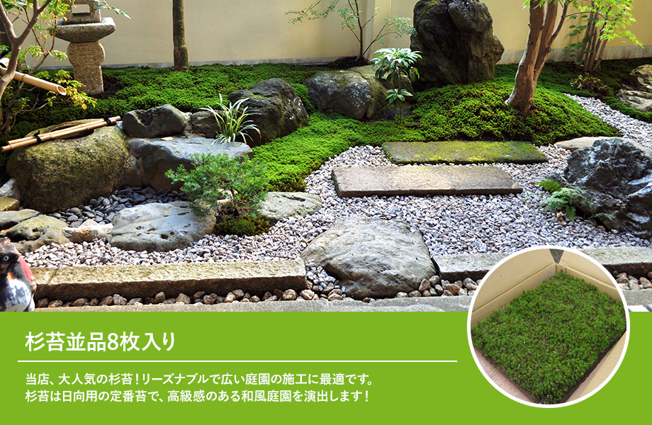送料無料】杉苔並品8枚入り×10箱セット（約8平米） | 苔の販売専門店