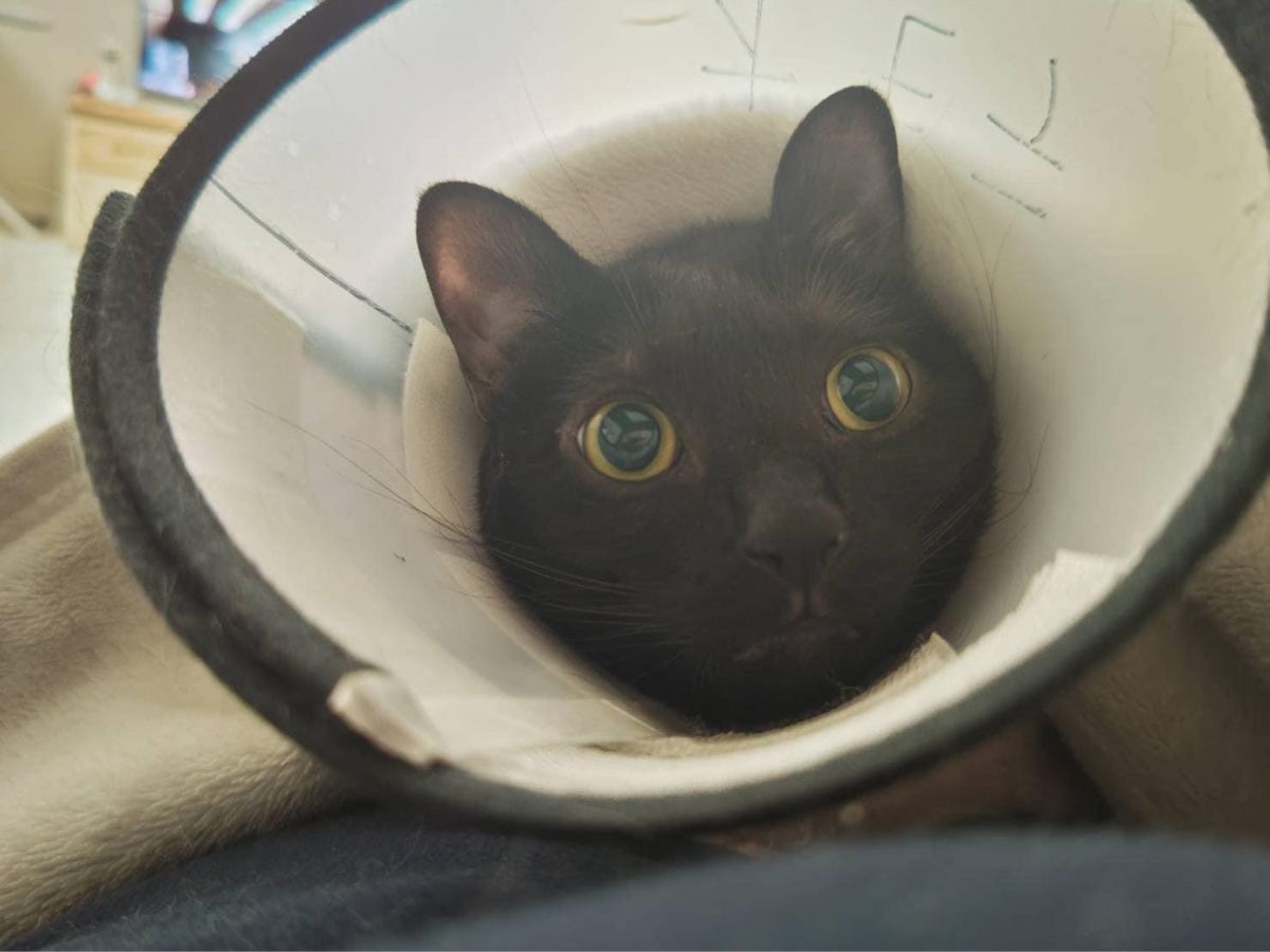 投稿詳細｜MOTOCLE