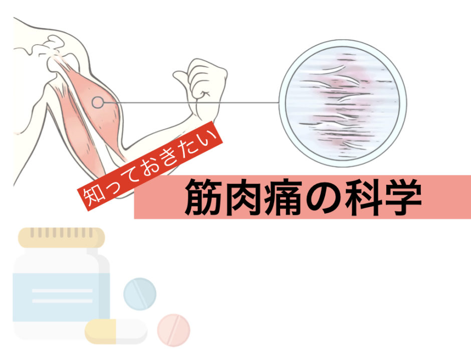 知っておきたい 筋肉痛の科学 | | movement design